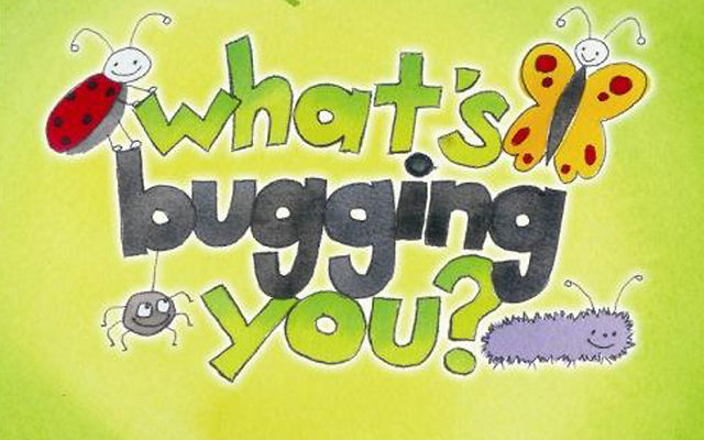 Fans of the 2018 Astros: What’s bugging&nbsp;us?